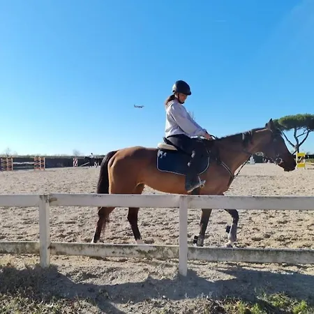 Turistico Leonardo Home- Airport, 2m In Treno- Rome, 20m In Treno- Fiera, 2m In Treno * Fiumicino