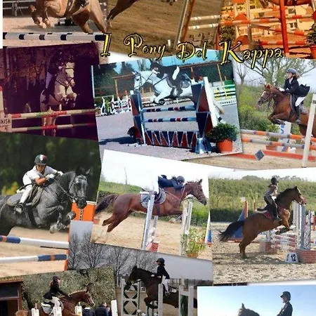 Turistico Leonardo Home- Airport, 2m In Treno- Rome, 20m In Treno- Fiera, 2m In Treno Appartement